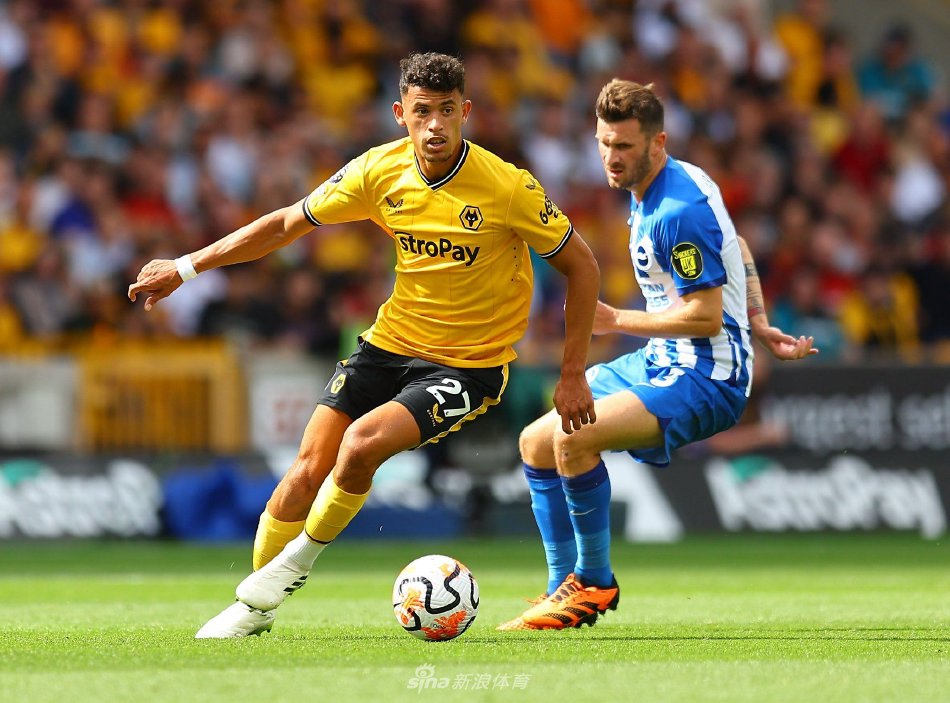 已经采用了 已经采用了